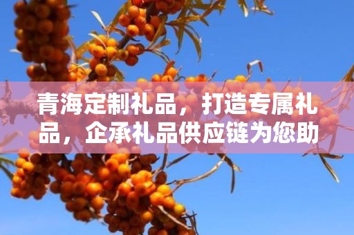青海定制礼品，打造专属礼品，企承礼品供应链为您助力